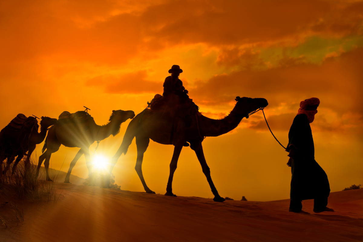 Man and guide on camel in Sahara desert