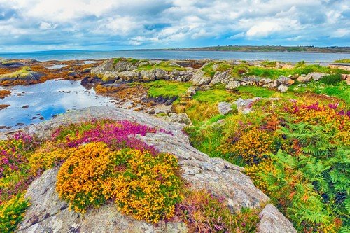 Ireland colorful Springtime landscape