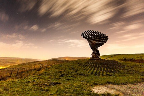 Moonlit Shadow at the Singing Ringing Tree