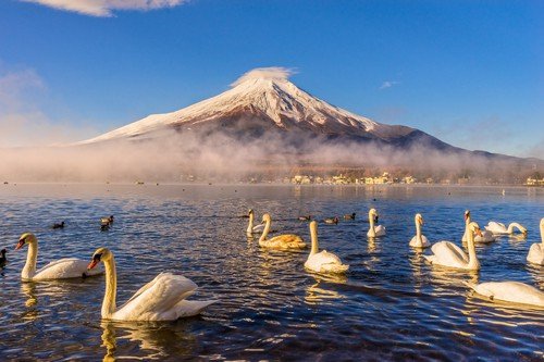 Mount Fuji reflected in Lake Yamanaka at dawn, Japan. - ultimate japan travel guide