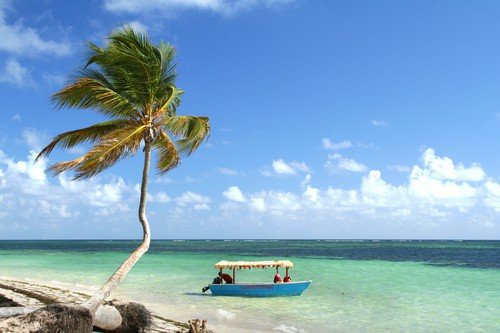 Palm tree and boat on tropical beach.