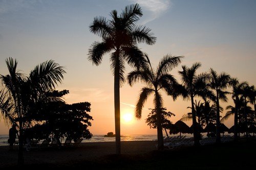 Palm trees and sunset - El Salvador travel guide