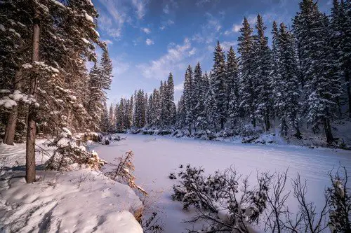 Winter wonderland in Fish Creek Park - central canada travel guide