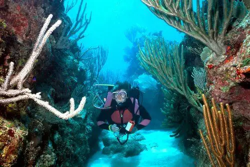 Woman Scuba diver in Roatan - Honduras Travel Guide