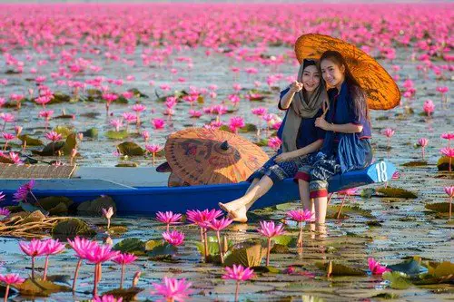 Laos woman sitting on the boat in flower lotus lake,