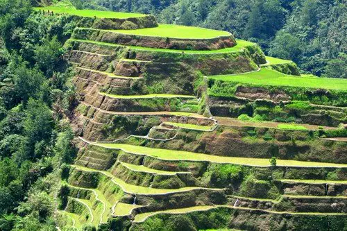 Close-up of the terraces of Banaue, Philippines.