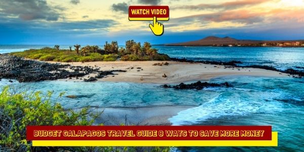 Budget Galapagos Travel Guide 8 Ways to Save More Money