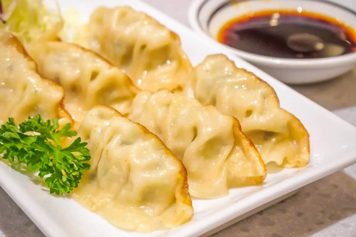 Vegetable Gyoza - Popular Japanese Food