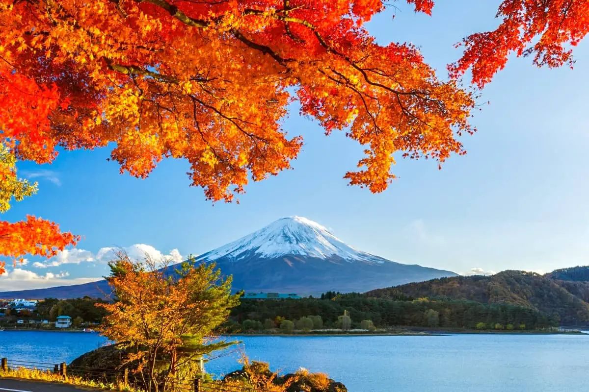 Mt Fuji