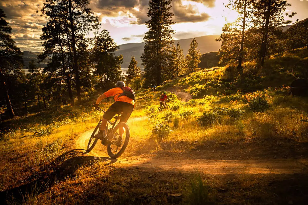 18 Free Mt Charleston Camping Spots • Our Big Escape