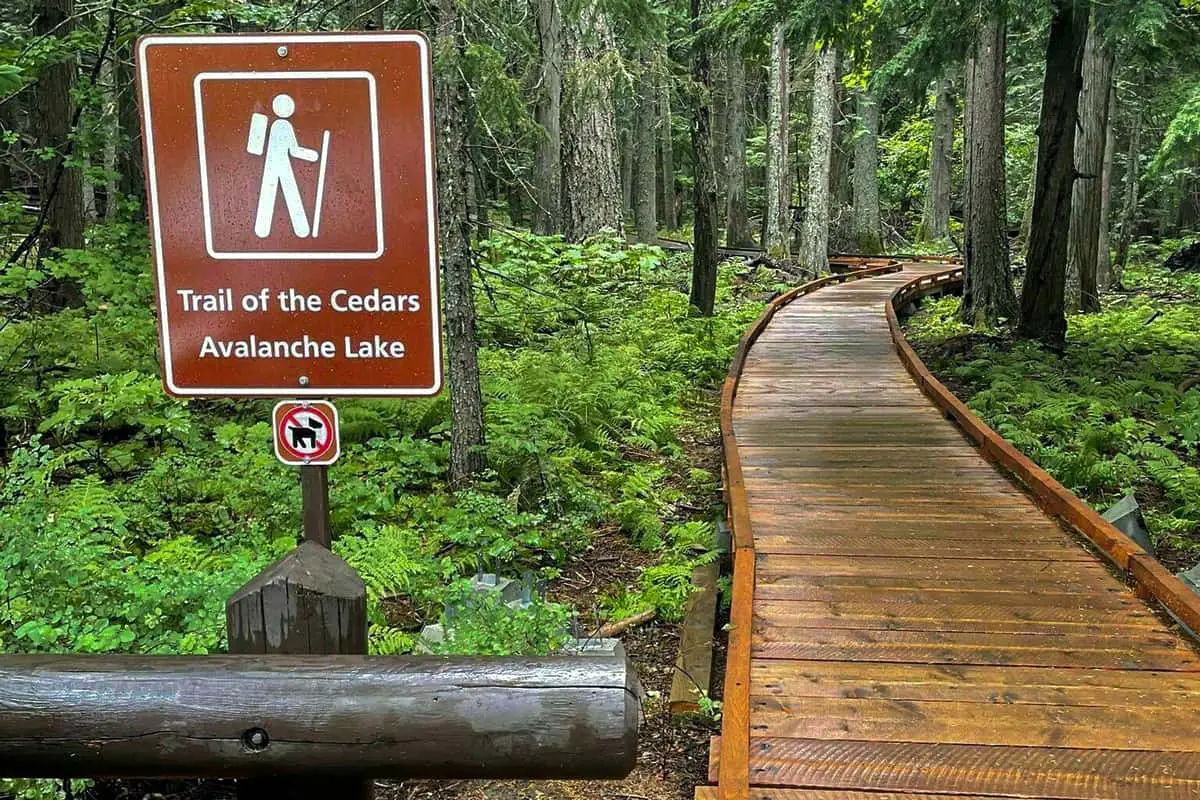 2 - Trail of the Cedars Boondockers