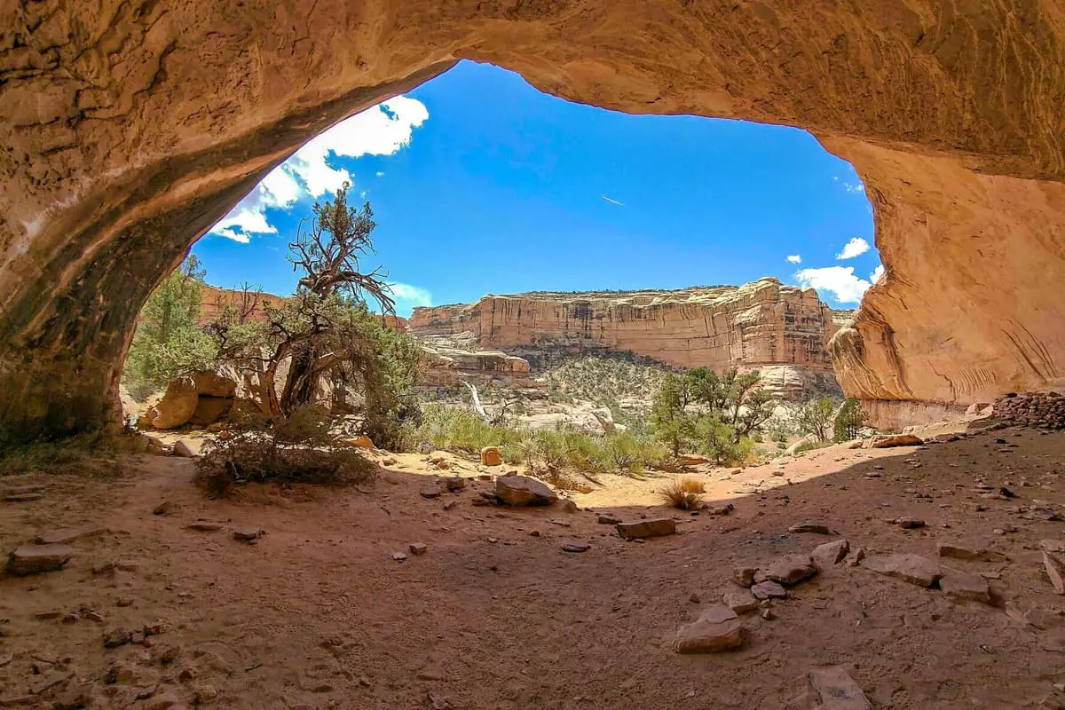 3 Bullet Canyon Trail to Grand Gulch and Kane Gulch at Bear Ears National Monument