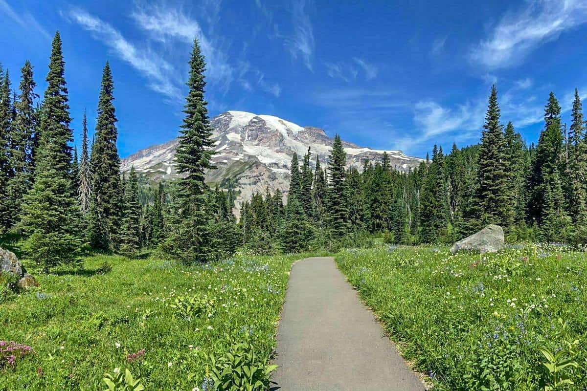 Nisqually Vista Trail - Boondockers Favorite Locations