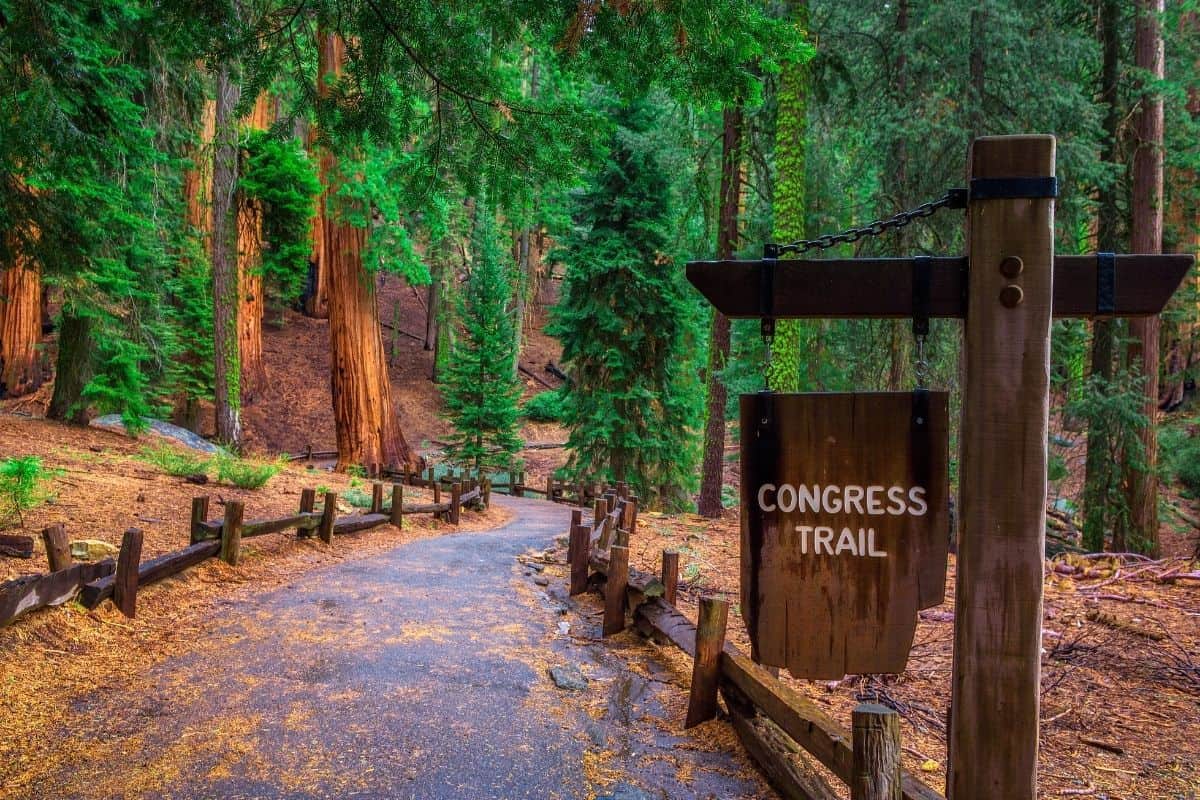 4 Congress-Trail of the Sequoias-Tharp’s Log-Congress Loop - Sequoia National FOrest