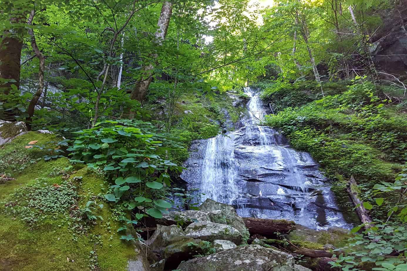 4. Porters Creek Trail- Smoky Mountains National Park