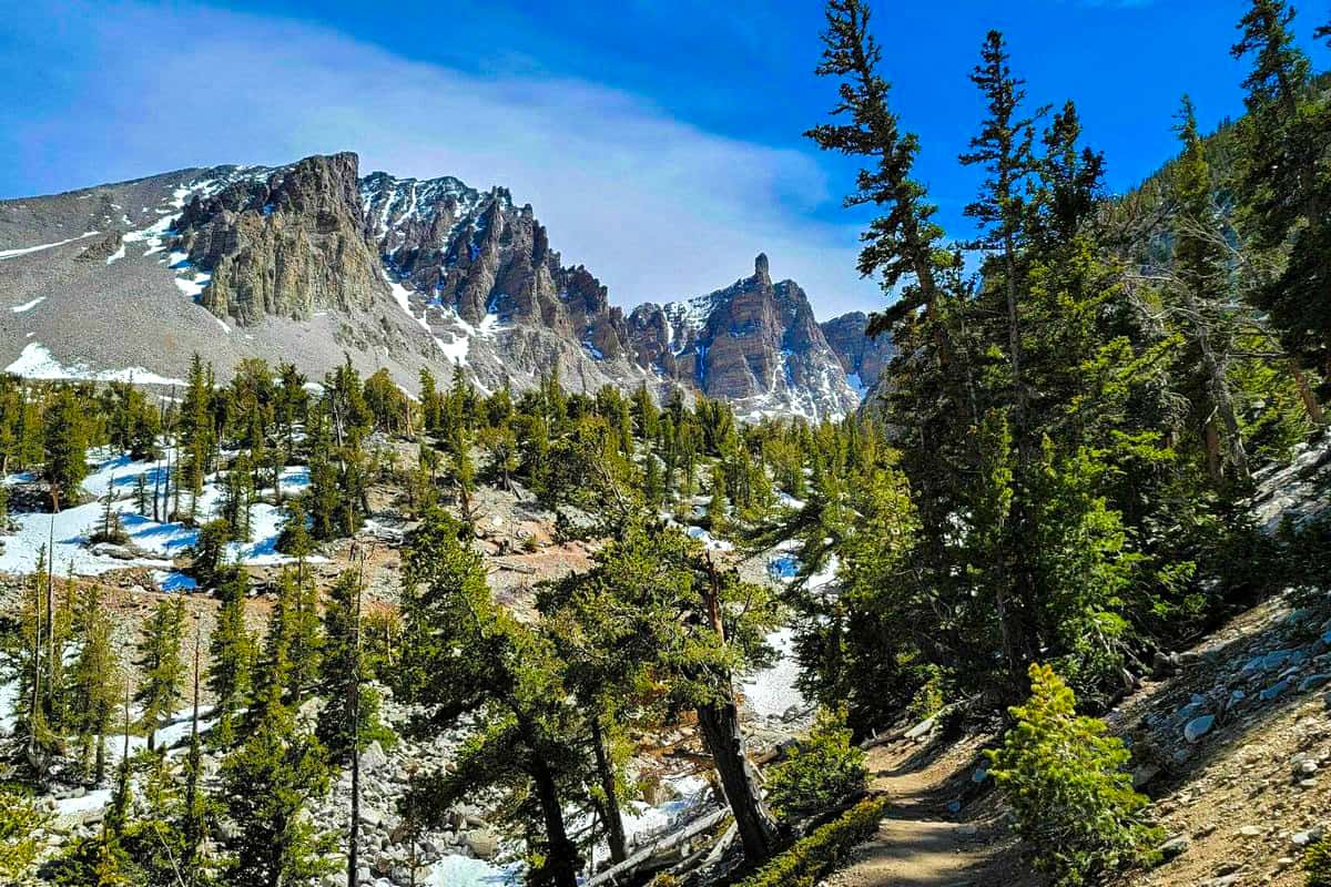 4. Sky Islands Forest Trail Great Basin National Park