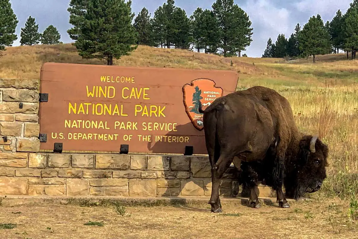 6. East Bison Flats Trail- Wind Cave National Park Free Boondocking