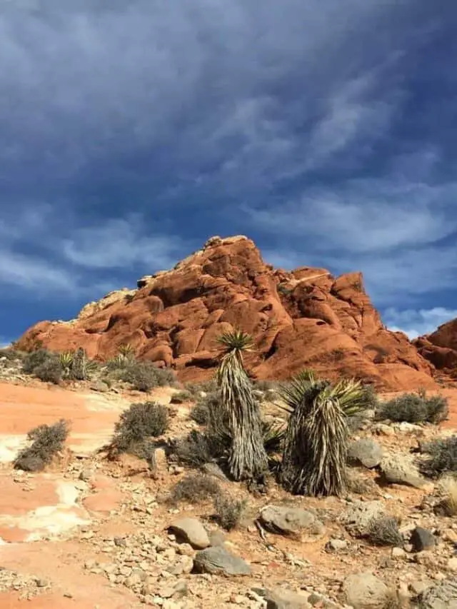 Easy Red Rock Canyon Hiking Trails