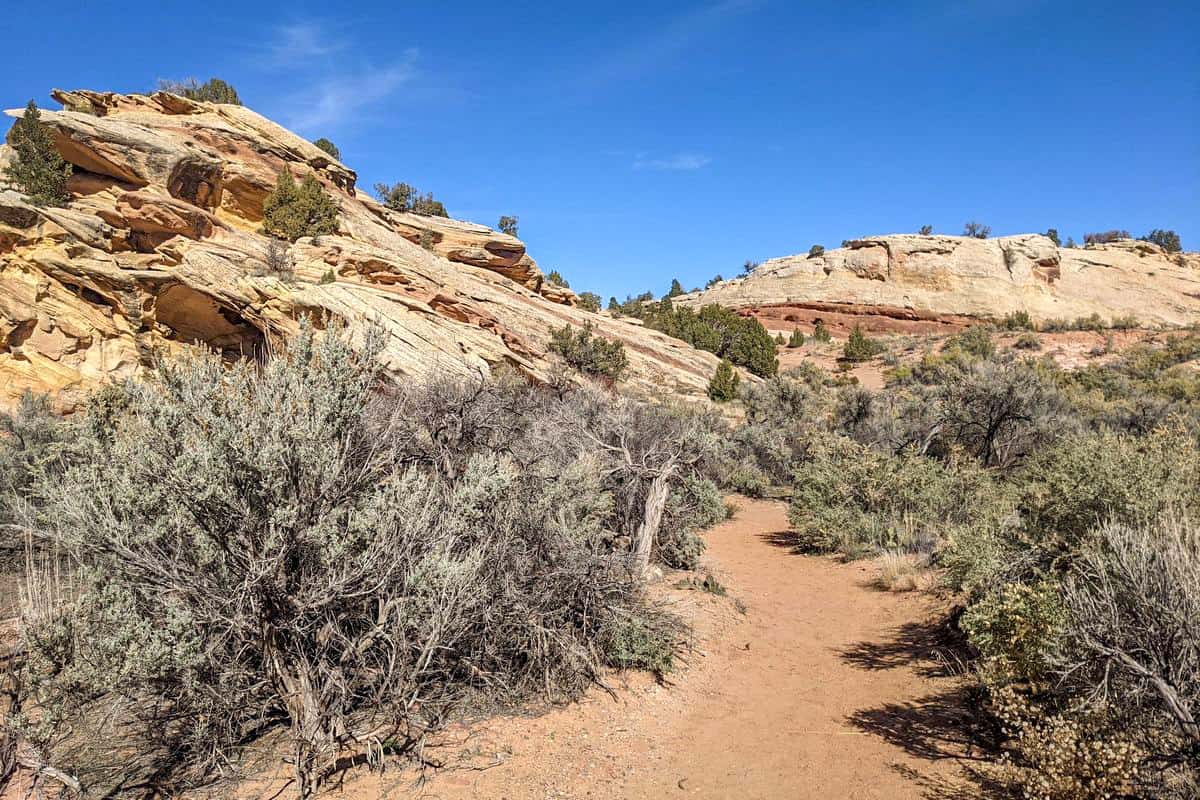 6 No Thoroughfare Canyon - Colorado National Monument Hiking Trail
