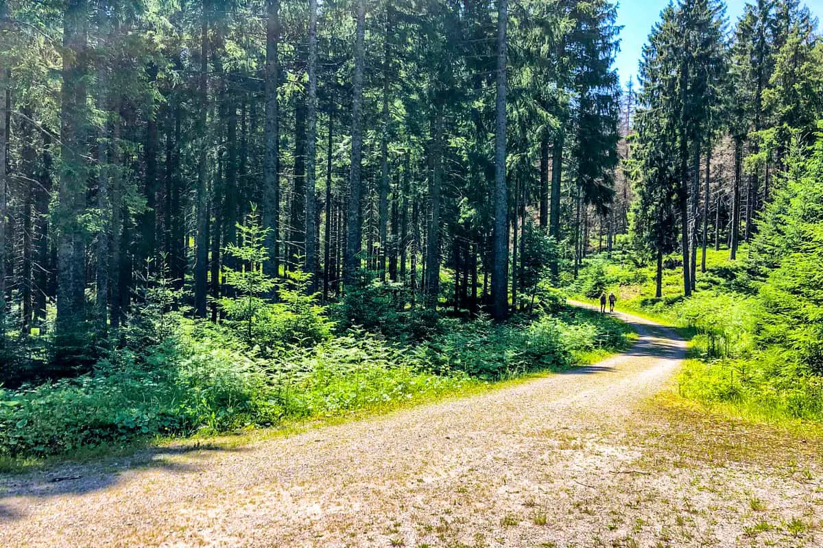 10. Murgleiter Etapp Black Forest trail