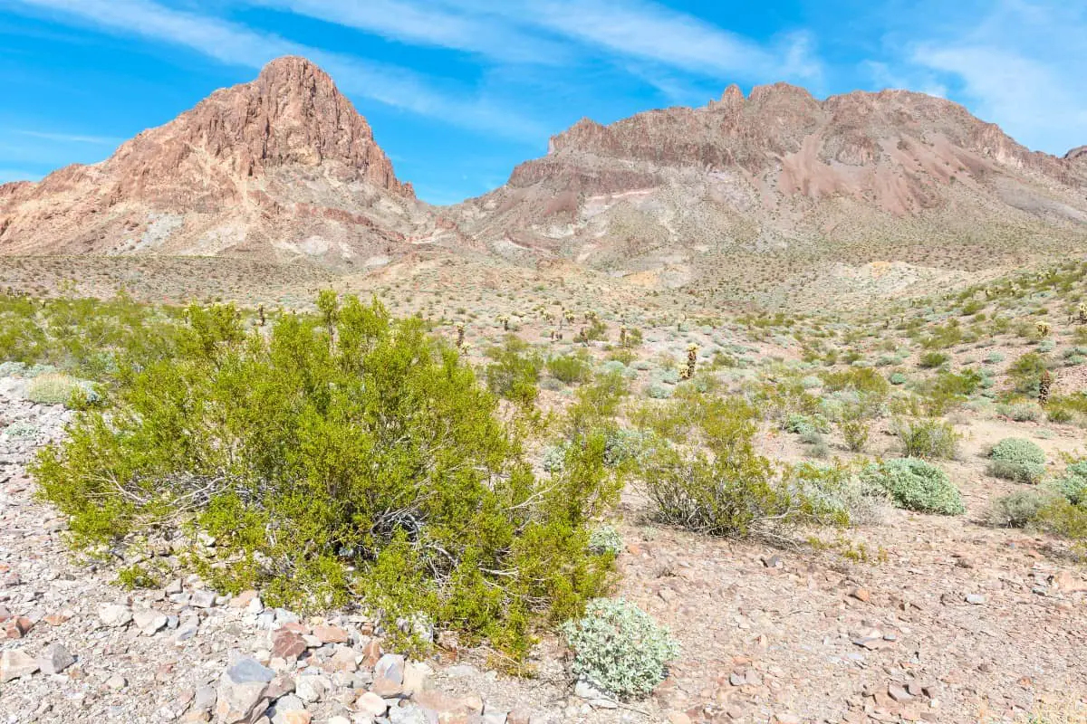 Arizona Backcountry Route Off Road Expedition