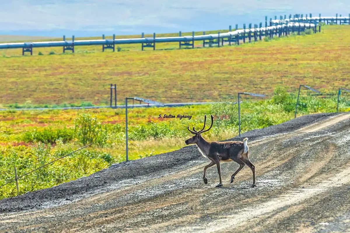 Dalton Highway