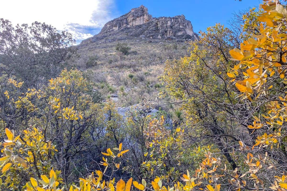 5. McKittrick Canyon Guadalupe Mountains National Monument Hiking Trail