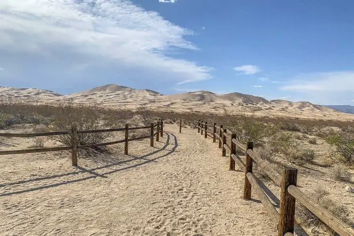 1. Kelso Dunes Trail