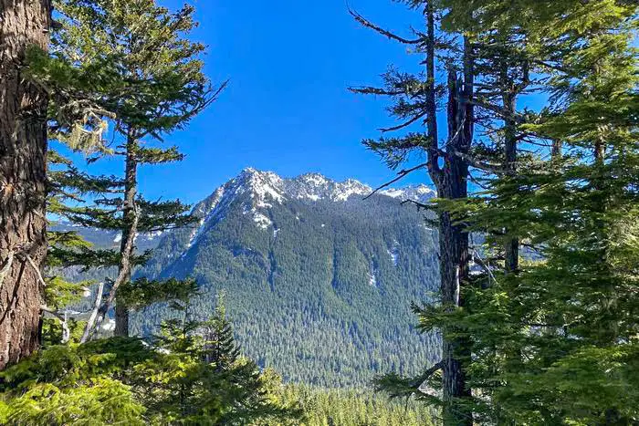 13. Rampart Ridge Loop Trail - Mt. Rainier Camping and Hiking