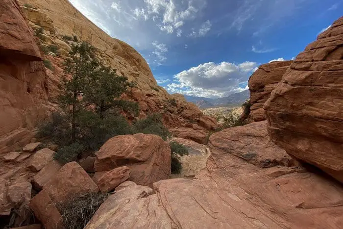 8. Red Rock Canyon Trails at Calico Tanks Trail-1