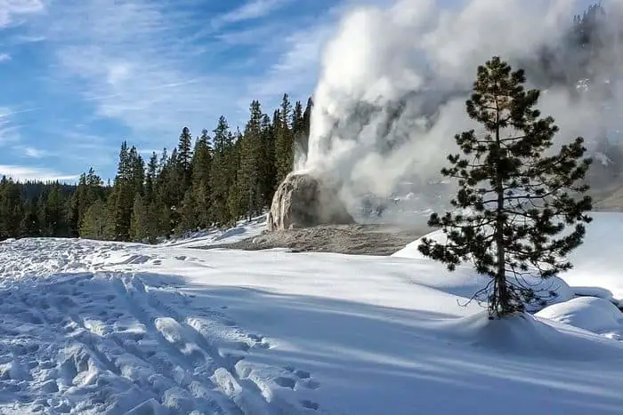 10. Lone Star Geyser Trail