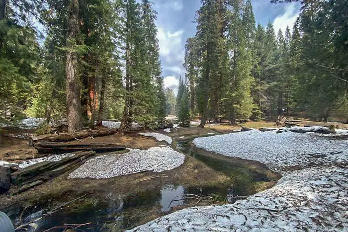 2. Big Trees Trail - Sequoia National Monument Free RV Parking