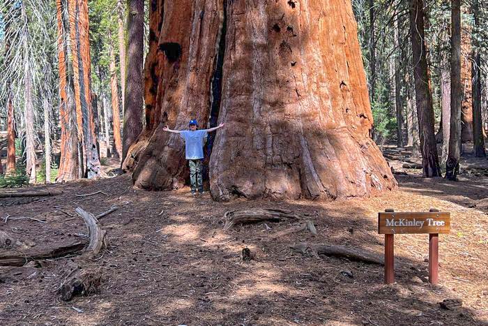 3. Congress Trail - Sequoia National Monument Free RV Parking