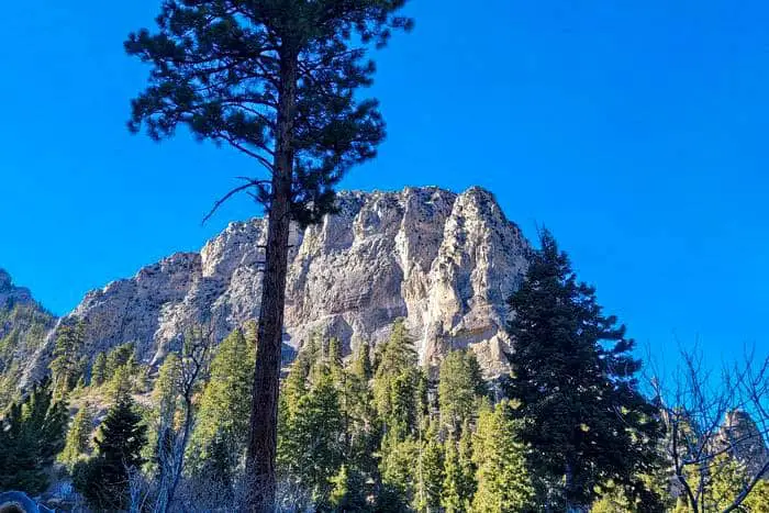 4. Cathedral Rock Trail