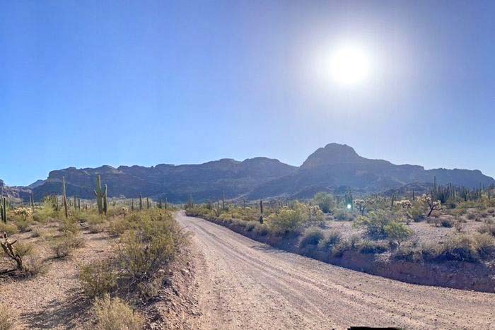 6. Ajo Mountain Drive Organ Pipe Cactus National Monument Free RV Parking
