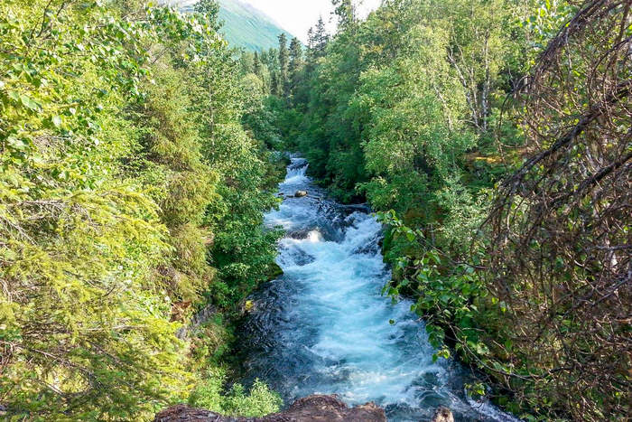 8 Russian River Falls Kenai Fjords National Park Hiking Trail