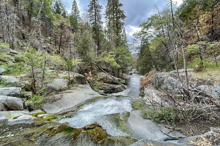 9. Ladybug Camp Trail - Sequoia National Monument Free Boondocking