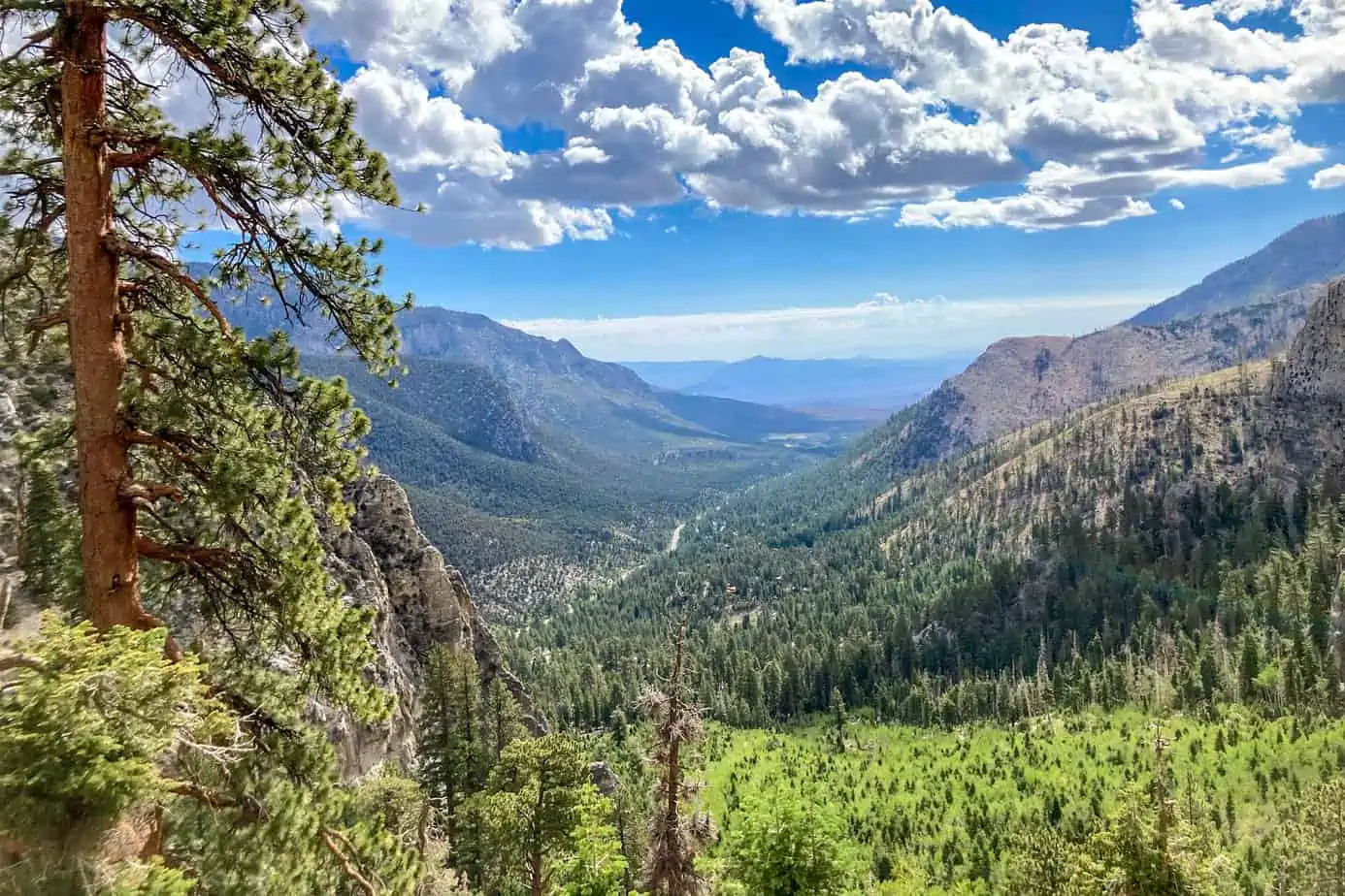 14 Trail Canyon Overlook