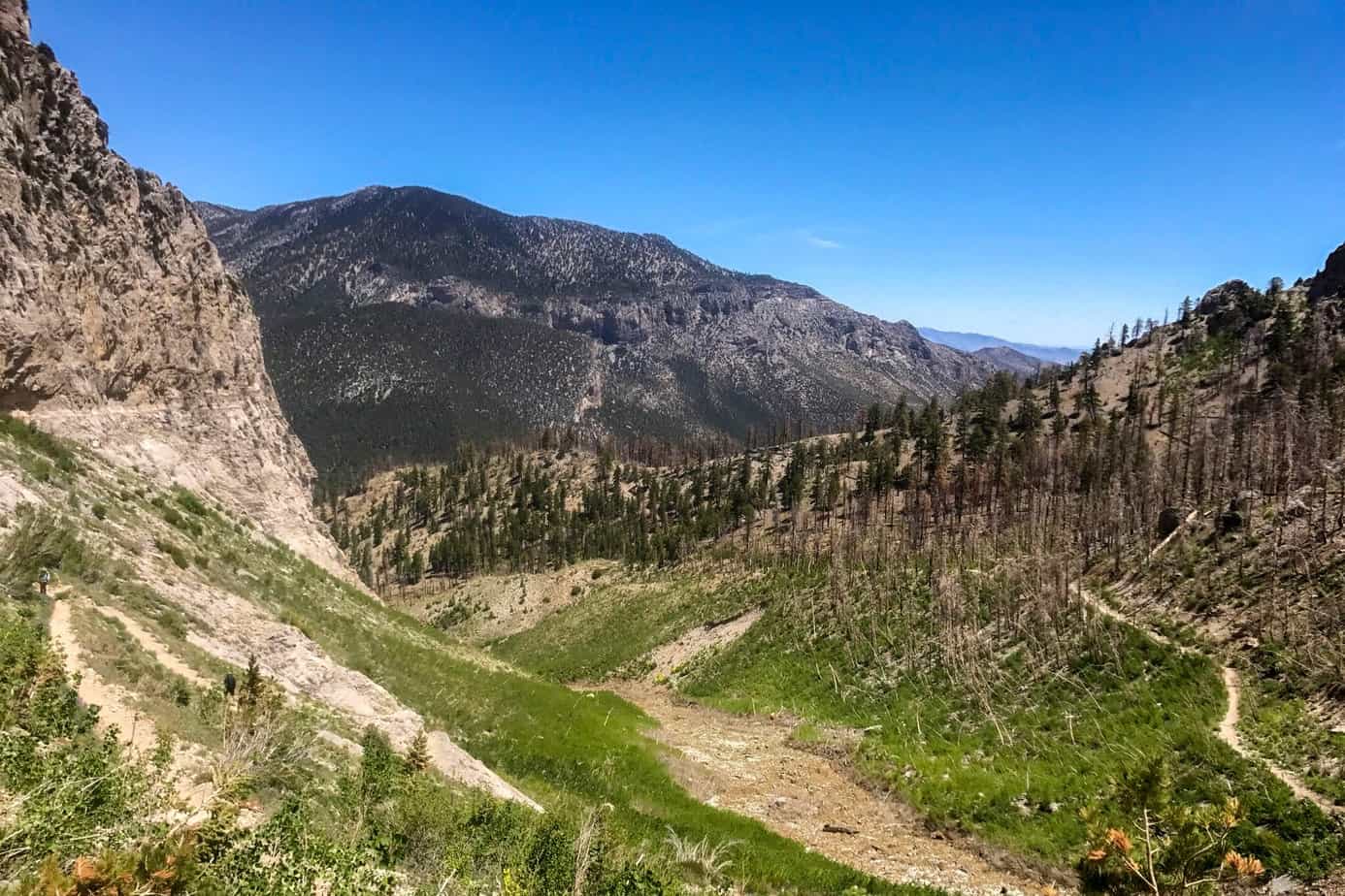 3 Griffith Peak