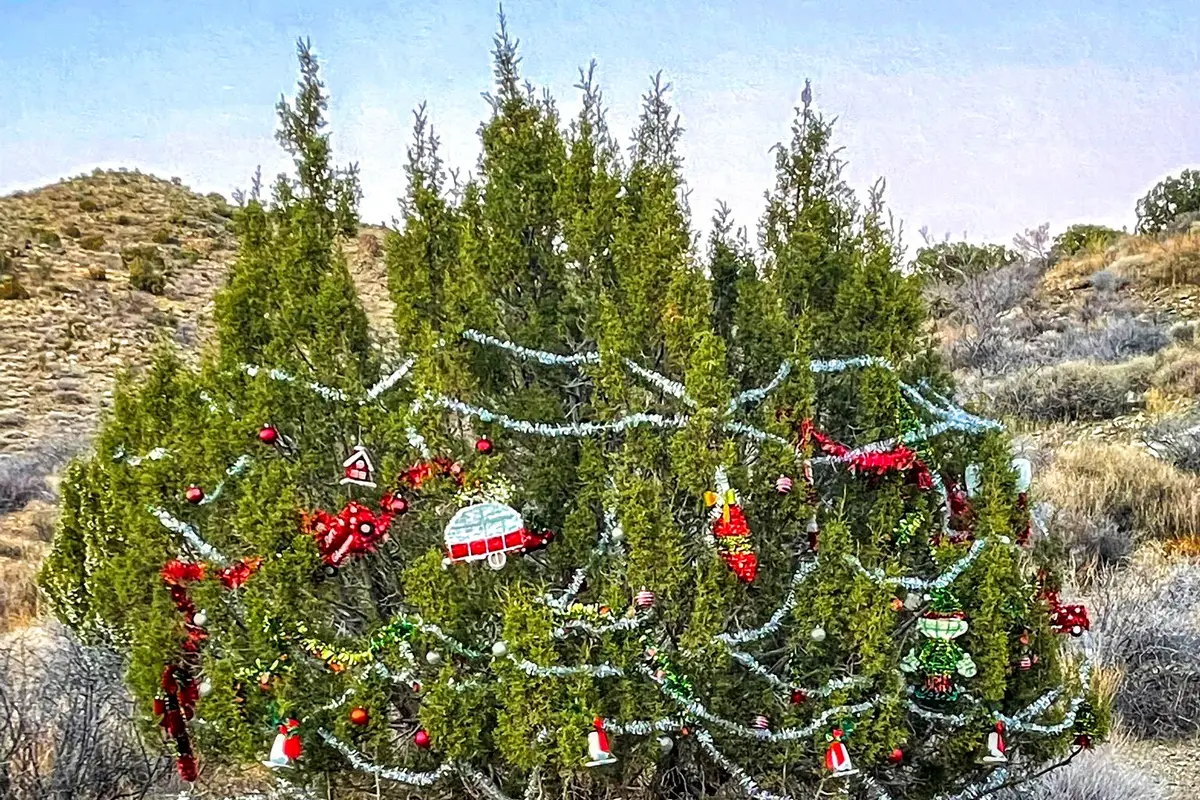 13 Christmas Tree Pass OHV - Bullhead City Free Boondocking