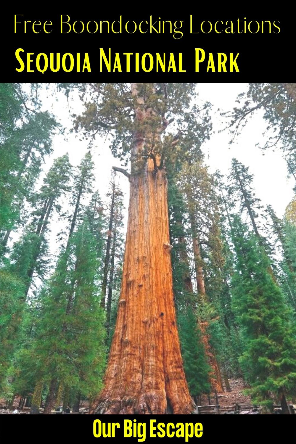Sequoia National Park (5)