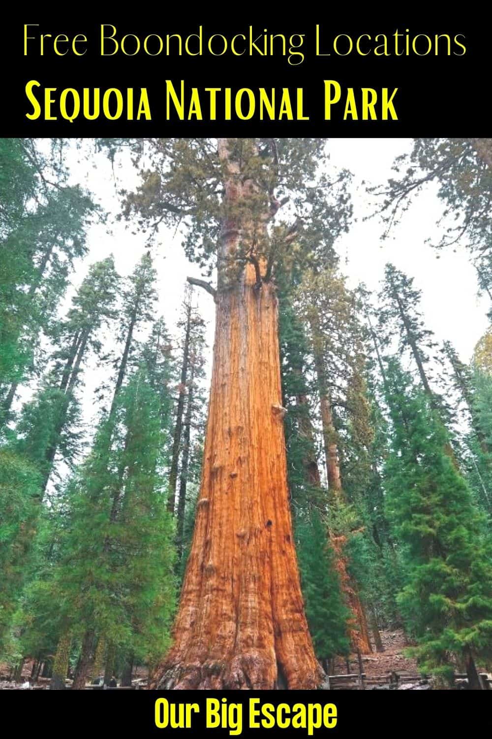 Sequoia National Park (5)