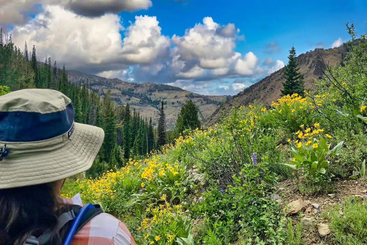 Jarbidge River Trail and Jarbridge Nevada Boondocking Site