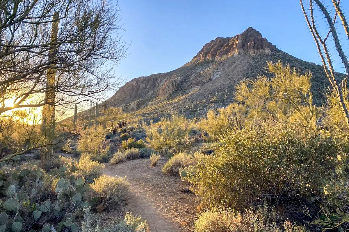 Tucson Estates Trail to Yetman Trail