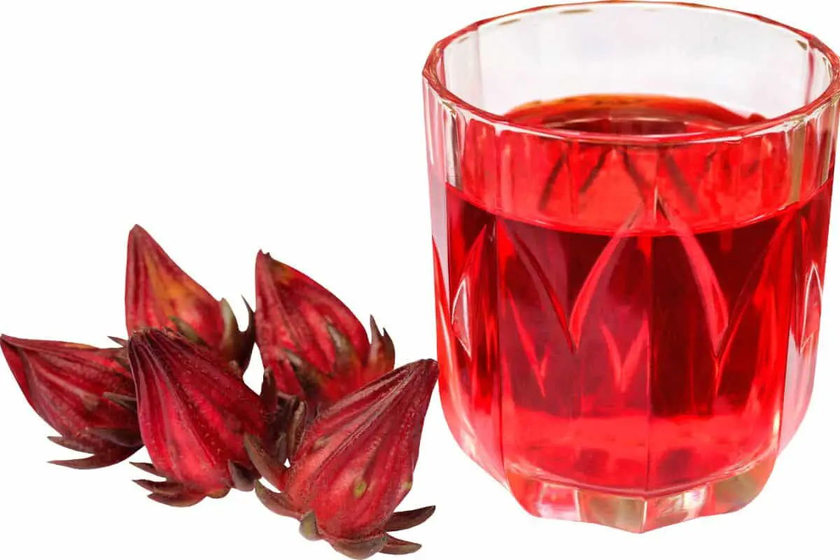 14. Jamaican Sorrel Drink