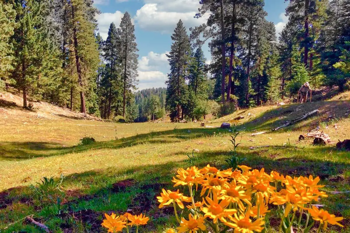 17 White Sands National Park Boondocking & Free Camping Sites • Our Big