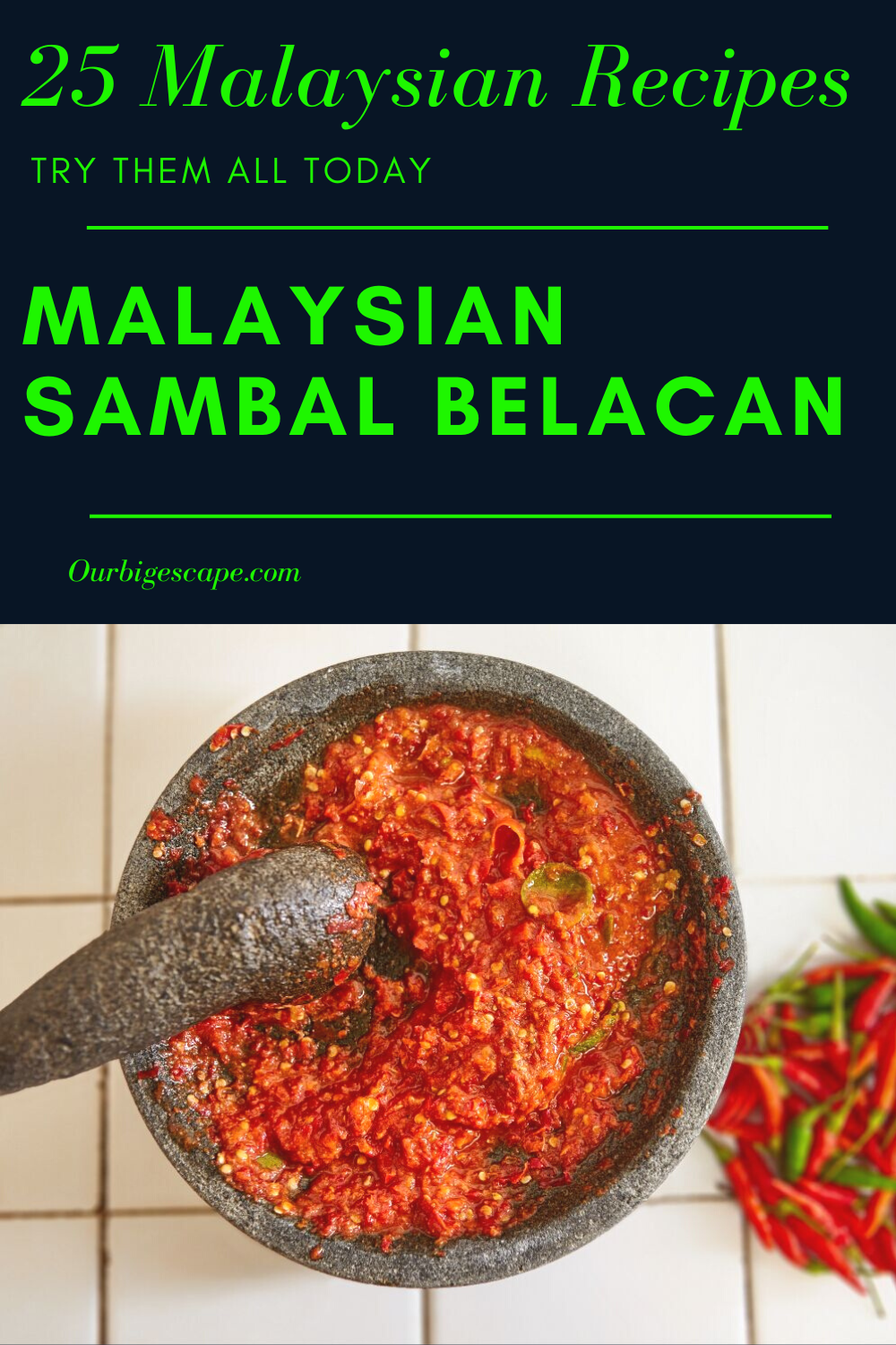 12. Malaysian Sambal Belacan