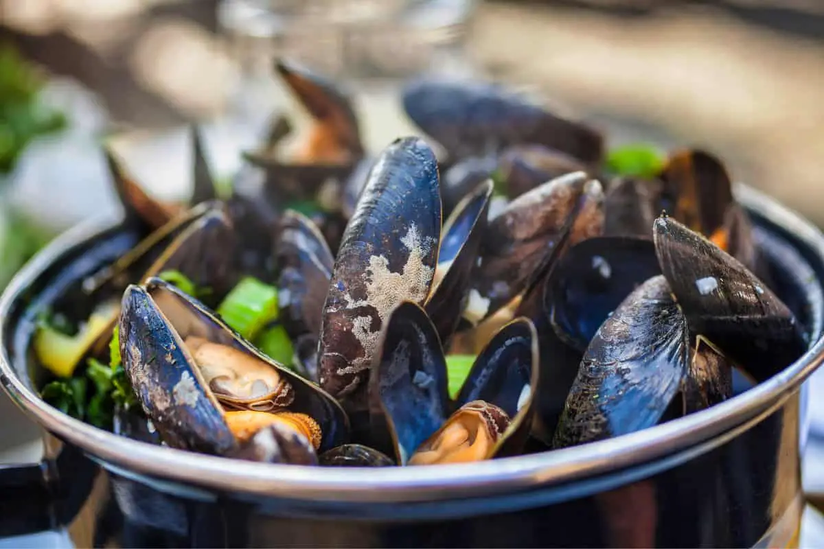 Wood Fired Croation Mussels traditional Croatian food