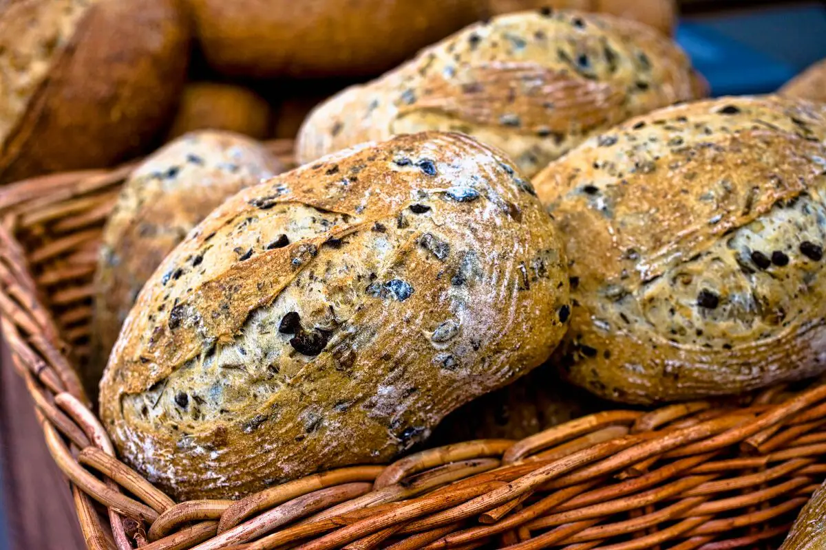 Palestine food - Rustic Olive Bread