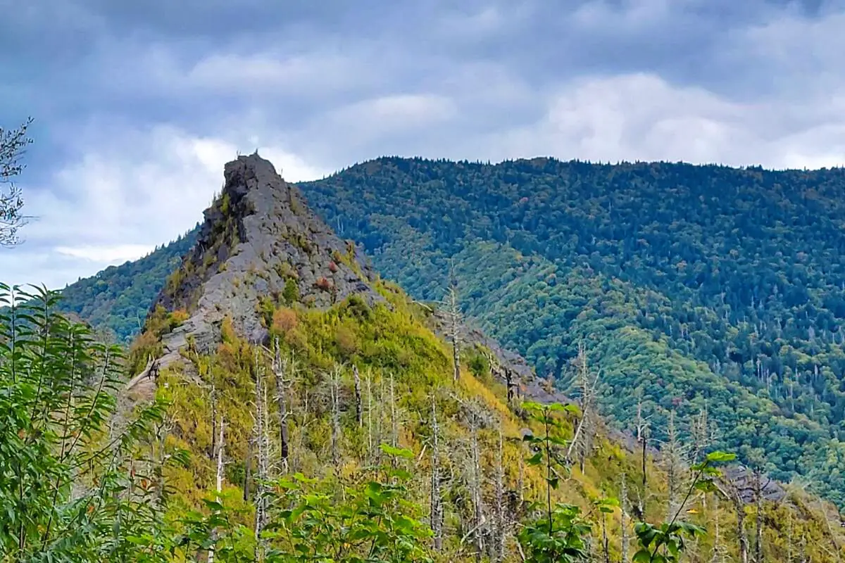 Chimney Tops Trail - Hiking Smoky Mountain National Park.jfif (1)